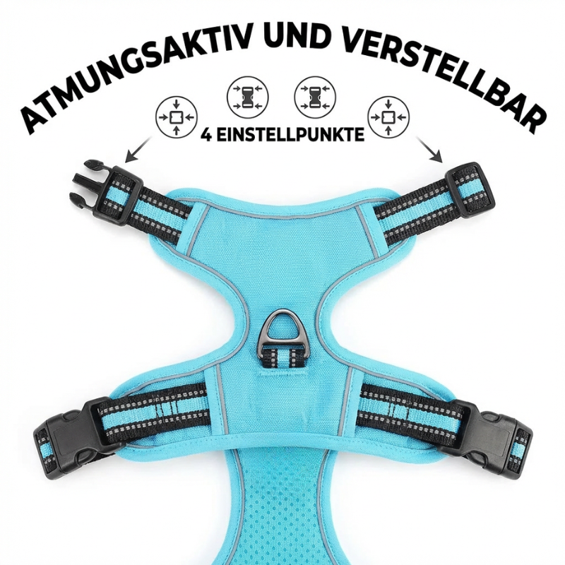 PfotenSanft Pro - Entlastungs- & Anti-Zieh-Geschirr